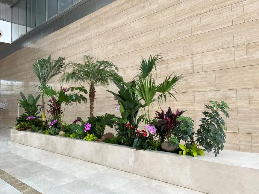 海曙植物租赁专业