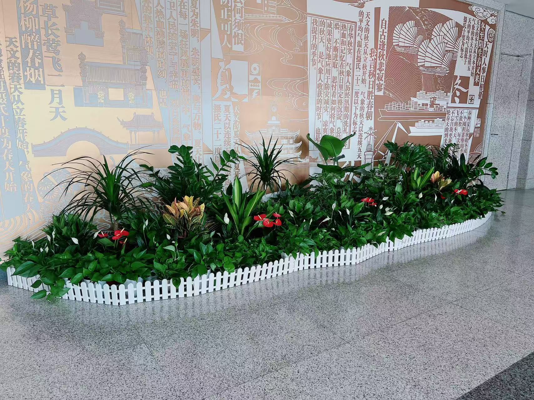 揭秘宁波绿植租摆哪家好，速来一探究竟！